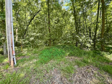 0 Higgs Dr unit 10202821, Somerville, TN 38068 - photo 6