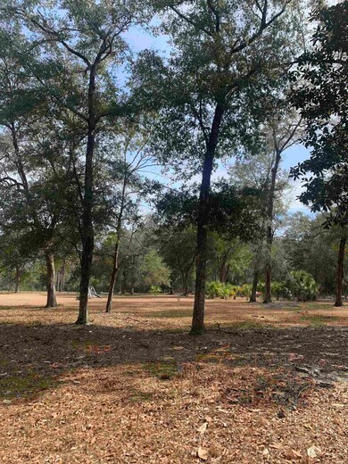 X Samuel Rd, Crawfordville, FL 32327 - photo 5