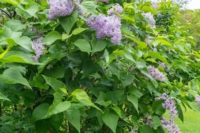 116 Spring St, Rehoboth, MA 02769 - photo 7