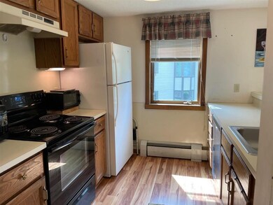 127 Mountains Edge Rd unit 202, Brownsville, VT 05037 - photo 4