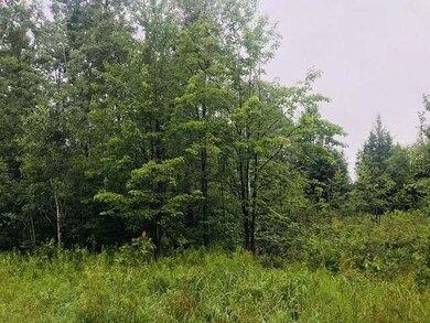 ON Phalzgraff Rd, Tomahawk, WI 54487 - photo 3