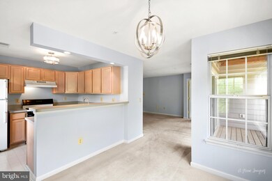 131 Timberbrook Ln unit 201, Gaithersburg, MD 20878 - photo 6