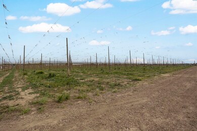 TBD Puterbaugh Rd Forsell Rd, Grandview, WA 98930 - photo 4