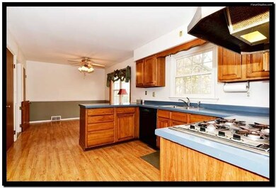 343 Meadowrue Ln, Batavia, IL 60510 - photo 7