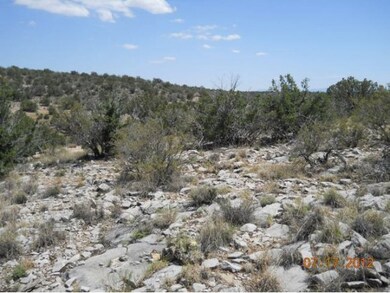 2 E Verde Highlands Trail, Paulden, AZ 86334 - photo 3