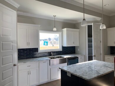 Kitchen with 2 pantries - custom shelves 