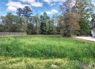 C6 Legacy Ln, Denham Springs, LA 70706 - photo 3