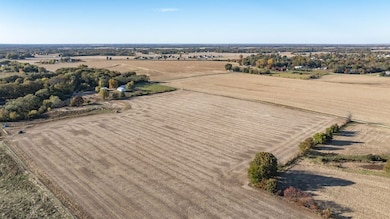 Tbd County Line Rd, Brighton, IL 62012 - photo 6