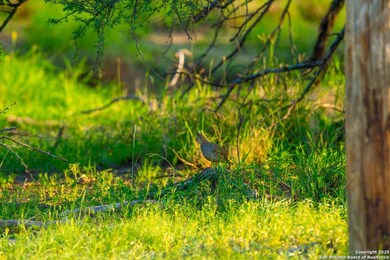 0 Fm 1688 unit 1880557, Crystalcit, TX 78839 - photo 6