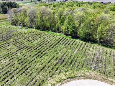 VL Benny Ct (Private) unit Parcel 3, Grand Junction, MI 49056 - photo 5