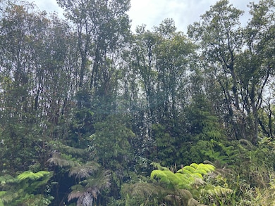 0 Road 4 unit 724078, Volcano, HI 96785 - photo 6