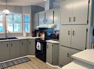 8880 SW 27th Ave unit LOT A42, Ocala, FL 34476 - photo 3