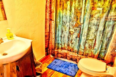 566 Piaute Way, Como, CO 80432 - photo 5