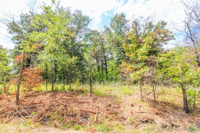 22 Belle Starr, Eufaula, OK 74432 - photo 3