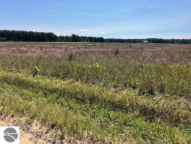 I Bowerman Rd, Kingsley, MI 49649 - photo 4