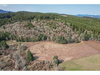0 Gooseneck Rd unit 210 23464971, Sheridan, OR 97378 - photo 6
