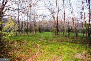 34266 Williams Gap Rd, Round Hill, VA 20141 - photo 6
