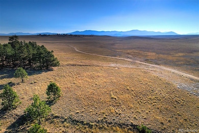 9128B Elkhorn Rd, Hartsel, CO 80449 - photo 2