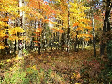 Lot 17 103rd St, Bone Lake, WI 54837 - photo 3