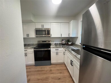 2207 Virginia Ave, Eustis, FL 32726 - photo 4