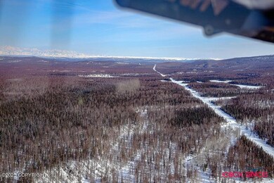 20801 E Baruch Loop, Talkeetna, AK 99676 - photo 2