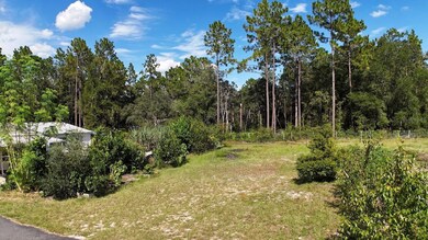 18471 SW 44th St, Dunnellon, FL 34432 - photo 5