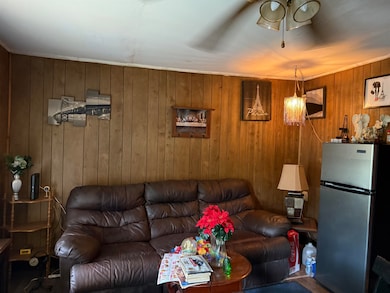 1508 W Pyburn St, Pocahontas, AR 72455 - photo 4