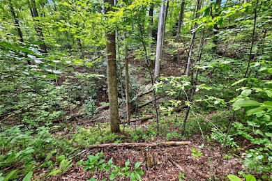 100 Comet Falls Trail unit 235, Black Mountain, NC 28711 - photo 3