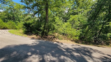 Lot #866 Grand Cypress, Jasper Township, MO 65079 - photo 6