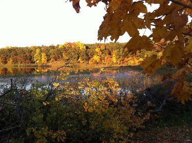 7529 W Orland Rd, Angola, IN 46703 - photo 6