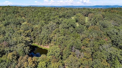 TRACT 2&3-13610 Arkansas 105, Hector, AR 72843 - photo 4