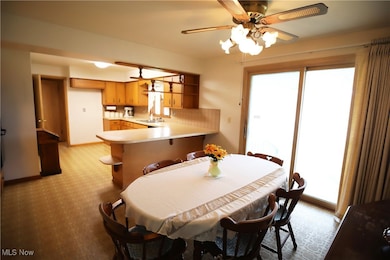 41984 Debra Dr, Elyria, OH 44035 - photo 6