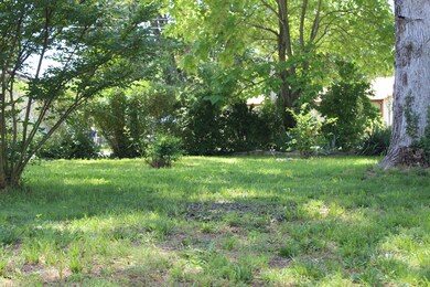 5947 Joe Bald Rd, Kimberling City, MO 65686 - photo 5