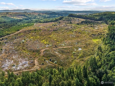 0 Salmon Creek Rd unit NWM2156058, Toledo, WA 98591 - photo 4