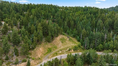 10126 Crest View Dr, Morrison, CO 80465 - photo 2