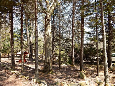 5415 Woodland Ave, Pocono Pines, PA 18350 - photo 4