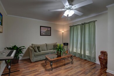 206 B Nova Scotia-5