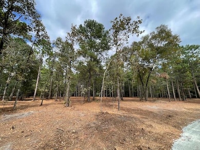 0 Hwy 45 unit 25024847, Cross, SC 29436 - photo 6