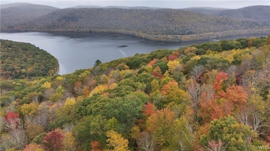 L1 Huntley Hollow Rd, Delancey, NY 13752 - photo 7