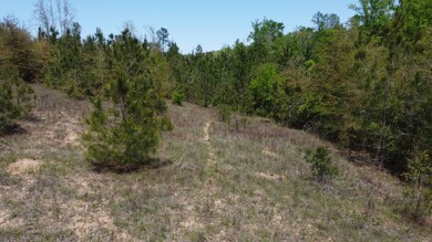 Hwy Alabama 265, Camden, AL 36726 - photo 7
