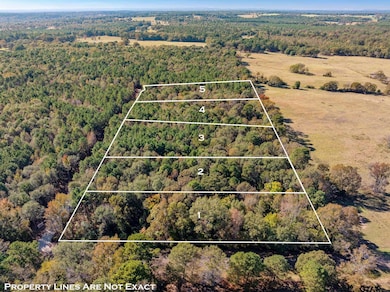 Lot 1 Creek Bend Trail, Troup, TX 75789 - photo 6