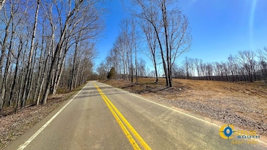 0 Highway 438 unit 25510456, Centerville, TN 37033 - photo 5