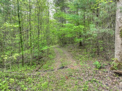 Lot 14 Watersong Trail, Ellijay, GA 30540 - photo 4