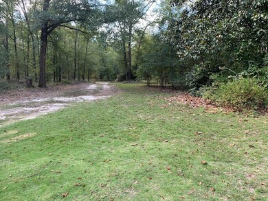 11581 Chattsworth Rd, Midland, GA 31820 - photo 4