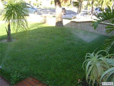Front yard