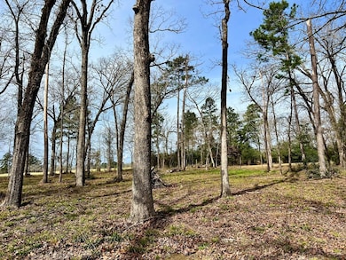 3.48 Roberts Ln, Diboll, TX 75941 - photo 6