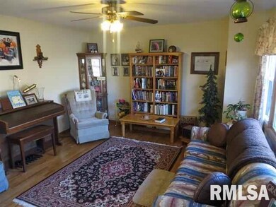 1251 Richland Ave, Lincoln, IL 62656 - photo 3