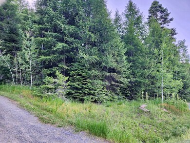 Sloped, Steep & Wooded Terrain