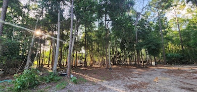 3335 Dellwood Rd, Loxahatchee, FL 33470 - photo 2