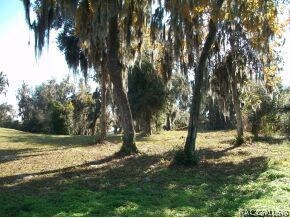 Great Homesite
